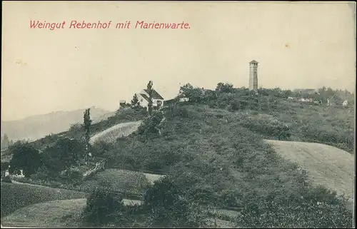 Ansichtskarte Ratsch an der Weinstraße Weingut Rebenhof mit Marienwarte 1912