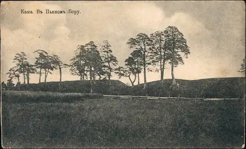 .Russland Rußland Россия Кама. Въ Пьяномъ Бору. Umlandpartie 1913