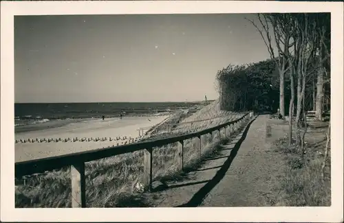 .Mecklenburg-Vorpommern Ostsee Promenade am Strand Bäume Dünen 1930 Privatfoto