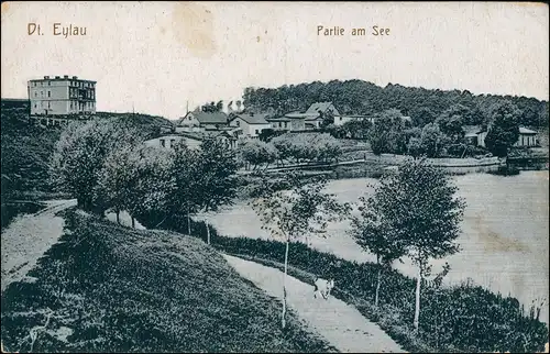 Postcard Deutsch Eylau Iława Straße am See 1912