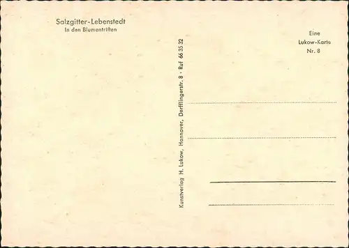 Lebenstedt-Salzgitter In den Blumentriften, Elektro-Geschäft, Wohnhäuser 1970