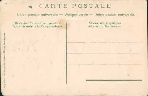 .Schweiz Prägekarte Patriotika 22 Kantone Cantons Cantoni 1912 Prägekarte