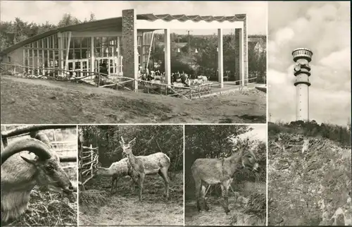 Ansichtskarte Petersberg (Saalekreis) Sendeturm, Restaurant 1970