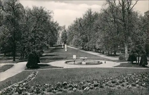 Ansichtskarte Neustrelitz Stadtpark 1965