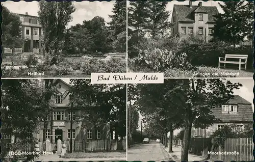 Ansichtskarte Bad Düben Heilbad, FDGB-Heime 1965