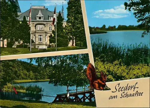 Seedorf (Mölln) Seedorf am Schaalsee (Mölln) 3 Ansichten Mehrbildkarte 1965