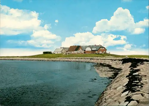 Langeneß Langenæs Hallig (ehem.Nordmarsch) Hilligenley Tadenswarft Warft 1970