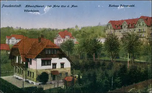 Ansichtskarte Freudenstadt Villenkolonie und Kurhaus Palmenwald 1922