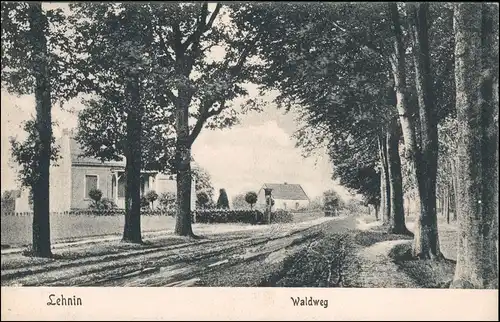 Ansichtskarte Lehnin-Kloster Lehnin Waldweg 1915