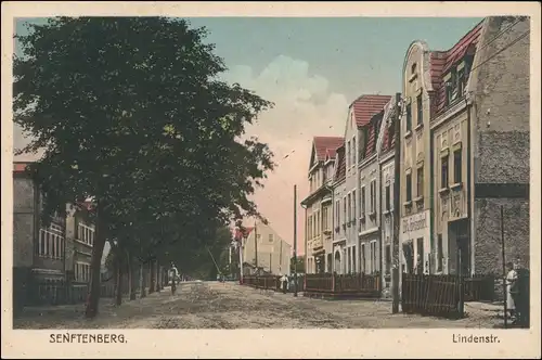 Ansichtskarte Senftenberg (Niederlausitz) Lindenstraße (coloriert) 1918