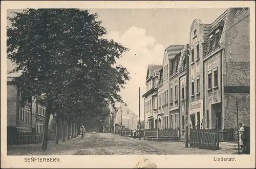 Ansichtskarte Senftenberg (Niederlausitz) Lindenstraße - Bahnübergang 1923