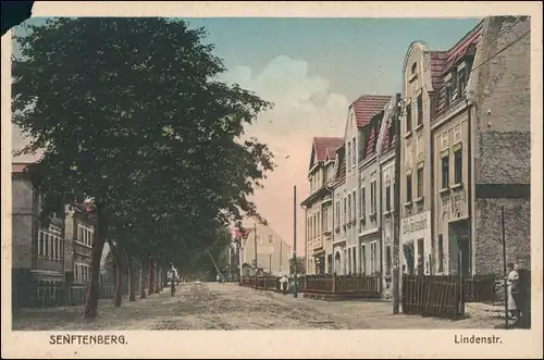 Ansichtskarte Senftenberg (Niederlausitz) Lindenstraße (coloriert) 1928
