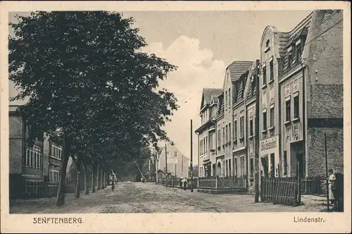 Ansichtskarte Senftenberg (Niederlausitz) Lindenstraße Geschäfte 1926