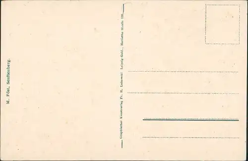 Ansichtskarte Senftenberg (Niederlausitz) Lindenstraße Geschäfte 1926