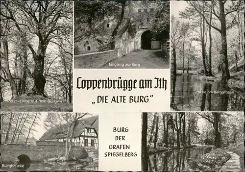 Ansichtskarte Coppenbrügge Mehrbild-AK Alte Burg der Grafen Spiegelberg 1960