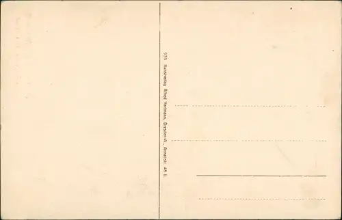 .Sachsen Schiefertafel Höllengrund Basteiweg Wald Gebiet Sachsen 1910