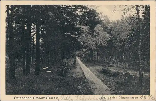 Ansichtskarte Prerow Weg an den Dünenanlagen 1928