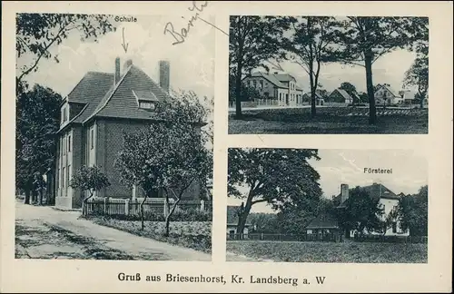 Briesenhorst Wąbrzeźno Schule, Försterei Gorzów   Landsberg an der Warthe  1924