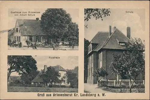 Briesenhorst Wąbrzeźno Gasthaus, Schule, Straße Gorzów   Landsberg Warthe 1924