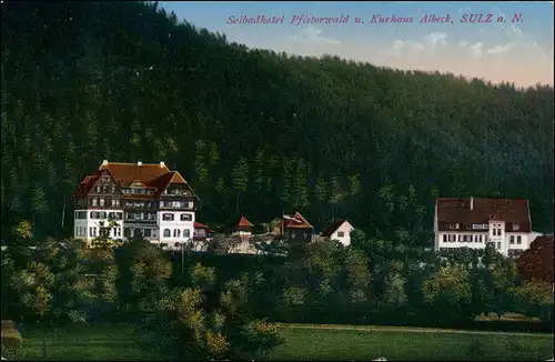 Ansichtskarte Sulz am Neckar Seebadhotel Pfisterwald 1913