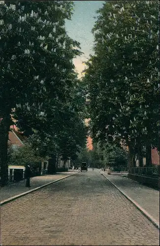 Ansichtskarte Hanerau-Hademarschen Straßenpartie 1912
