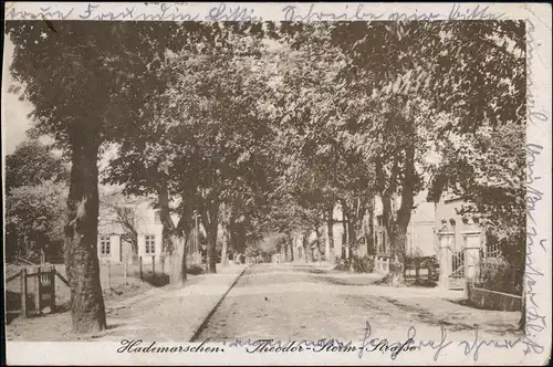 Ansichtskarte Hanerau-Hademarschen Theodor Storm Straße 1921