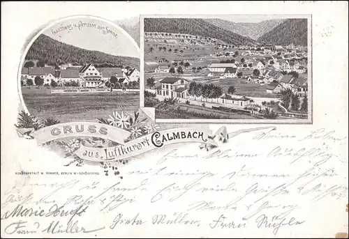 Ansichtskarte Litho AK Calmbach-Bad Wildbad Gasthaus zur Sonne, Bahnhof 1900
