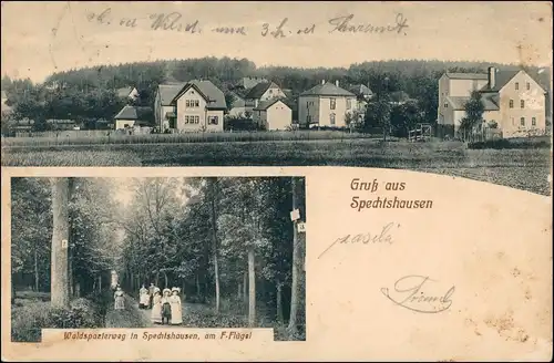 Ansichtskarte Spechtshausen-Tharandt 2 Bild Stadt und Waldweg 1913