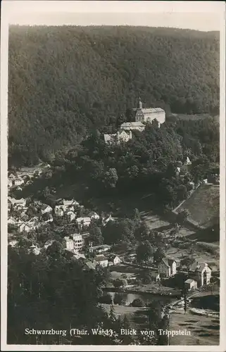 Ansichtskarte Schwarzburg Trippstein Panorama-Blick Ort und Schloss 1930