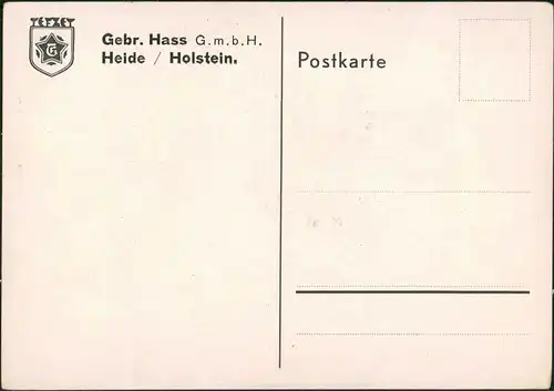 Heide (Holstein) Firmen AK Gebr. Hass GmbH Tefzeit Orient-Teppiche  1940