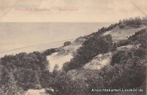 Ostseebad Rauschen Svetlogorsk (Ruszowice / Raušiai) - Klippen und Strand 1913
