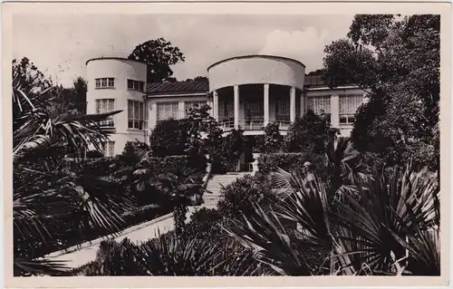 Postcard Sotschi Сочи | სოჭი Villa mit Palmen 1960
