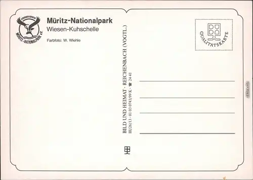 Müritz Nationalpark: Wiesen-Kuhschelle (Pflanze) Ansichtskarte 1990