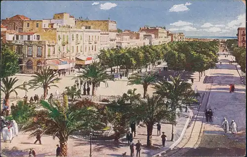 Postcard Tunis تونس Marine Straße mit Palmen 1918