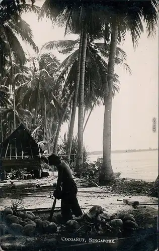 Singapur Cocoanut - Hütte Singapore Singapura Foto Postcard  1934