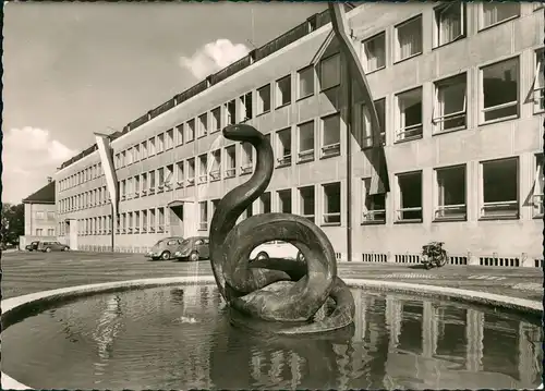 München Tierärztliche Fakultät der Universität, VW Käfer auf Parkplatz 1960