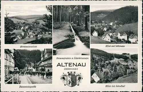 Torfhaus (Harz)-Altenau Umland-Altenau ua. "Damenkapelle" Kühe im Dorf 1960