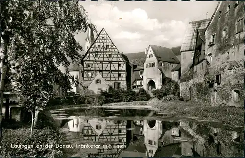 Ansichtskarte Lauingen (Donau) Tränketor mit Teich 1965