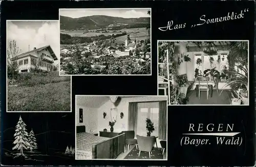 Ansichtskarte Regen MB. Haus Sonnenblick 1962