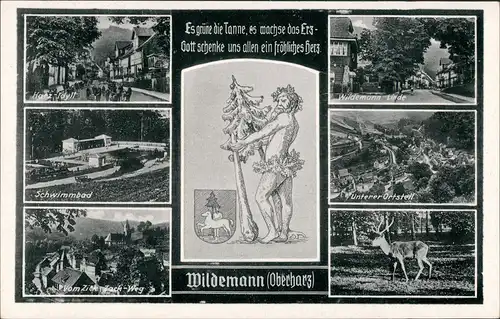 Wildemann (Innerstetal) Umlandansichten mit Schwimmbad, Linde, Harz-I  1940