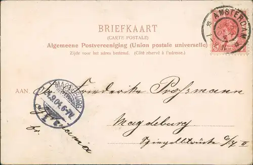 Postkaart Rokin-Amsterdam Amsterdam Straße - Straßenbahn 1904