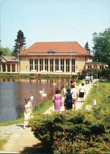 Ansichtskarte Bad Brambach Festhalle Kurpark Personen Teich Schwäne 1990