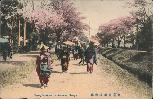 Tokio Tōkyō (東京) Cherry blossoms in Arakawa Nippon 櫻の堤川荒京東 1904