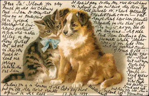 Ansichtskarte  Freunde: Hund und Katze - Künstlerkarte 1899