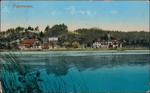 Postcard Hammer am See Hamr na Jezeře Blick auf die Stadt 1913