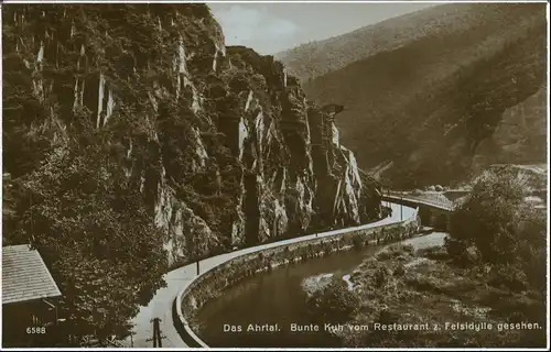 .Nordrhein-Westfalen  Ahrtal. Bunte Kuh vom Restaurant  Felsidylle gesehen 1929