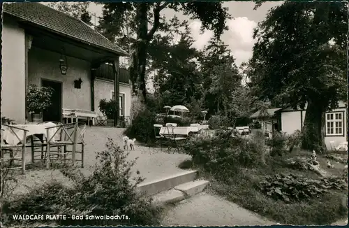 Ansichtskarte Schwalbach am Taunus WALDCAFE PLATTE 1964