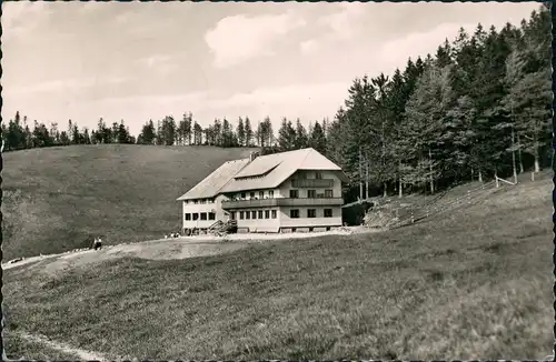 Ansichtskarte Utzenfeld BERGGASTHOF GISEBODEN Feldberggebiet 1962