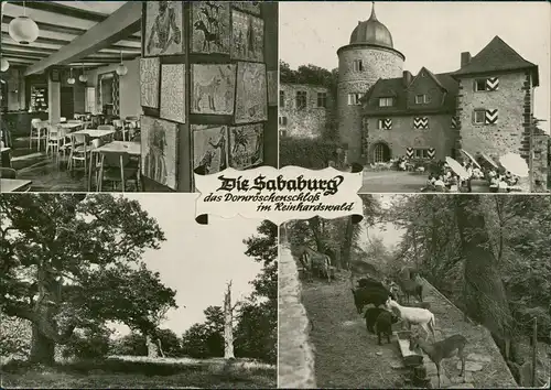 Hofgeismar Sababurg Dornröschenschloß Reinhardswald 4B 1965  Stempel Uffenheim