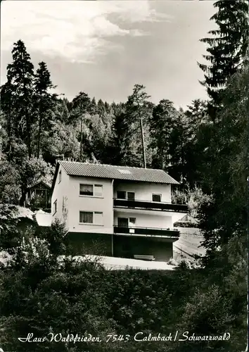 Ansichtskarte Calmbach-Bad Wildbad Haus Waldfrieden 1977